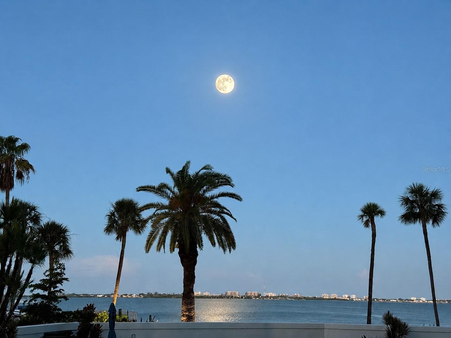 Moonset view from inside home - 988 BLVD OF THE ARTS #109, SARASOTA