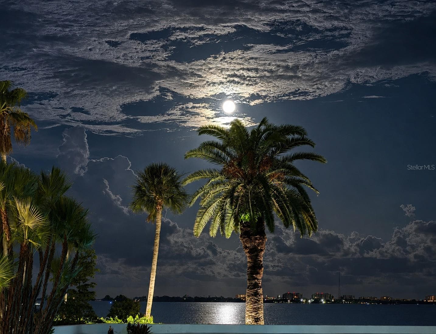 Moonset view from front yard sliders. - 988 BLVD OF THE ARTS #109, SARASOTA
