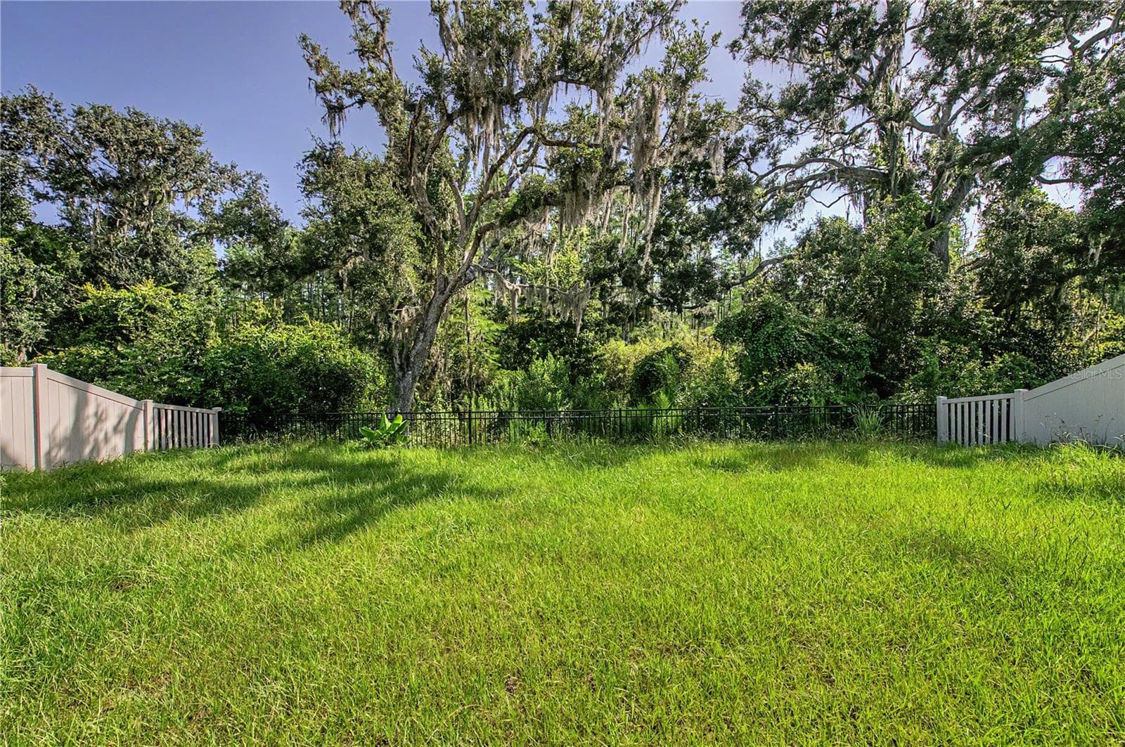 Back Yard - 9826 CARABINER WAY, LAND O LAKES
