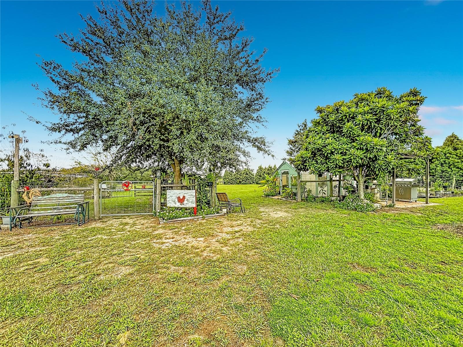 Love horses? - 18030 BAYAMON AVE, POLK CITY