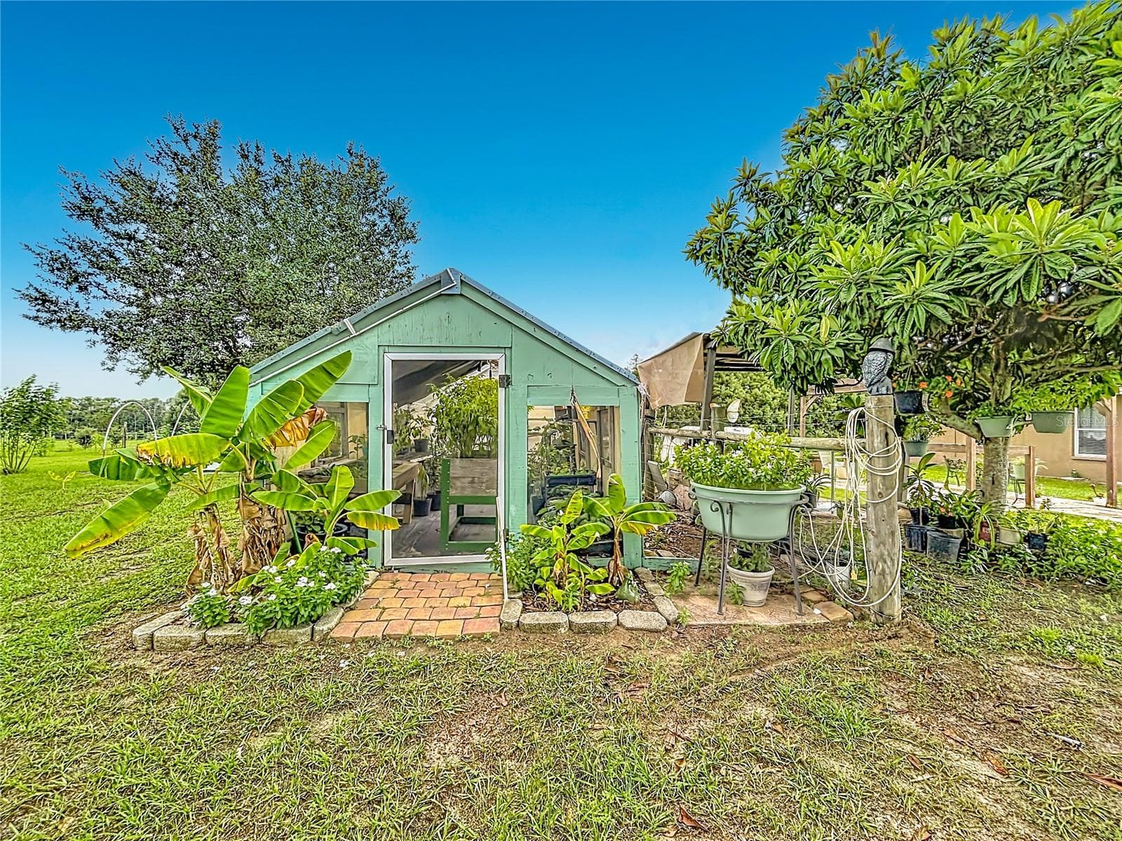 Always wanted a green house???? There are bananas, plantains and more. - 18030 BAYAMON AVE, POLK CITY
