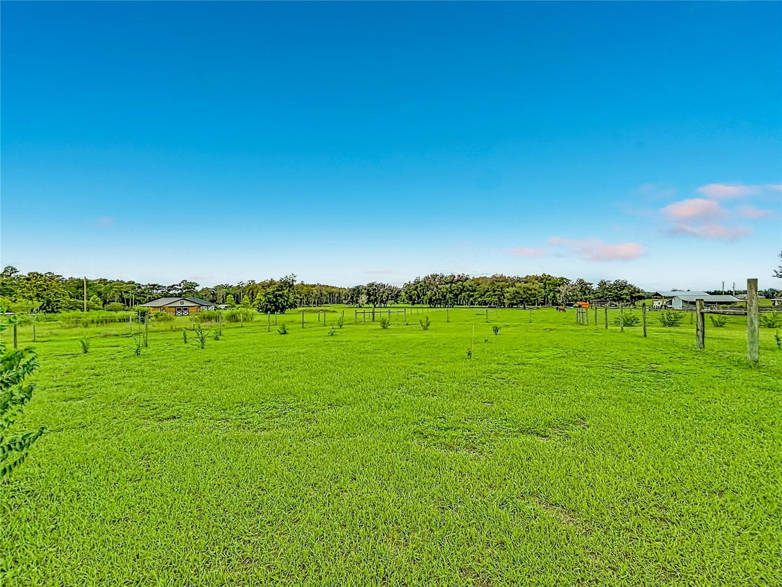 This is all mine. Can you see the horse? - 18030 BAYAMON AVE, POLK CITY