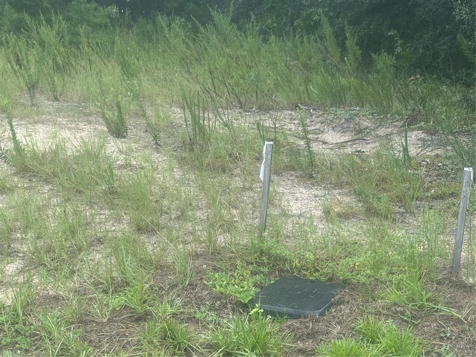 Land at TBD SW 60TH CIR #9, OCALA, photo 4 of 7