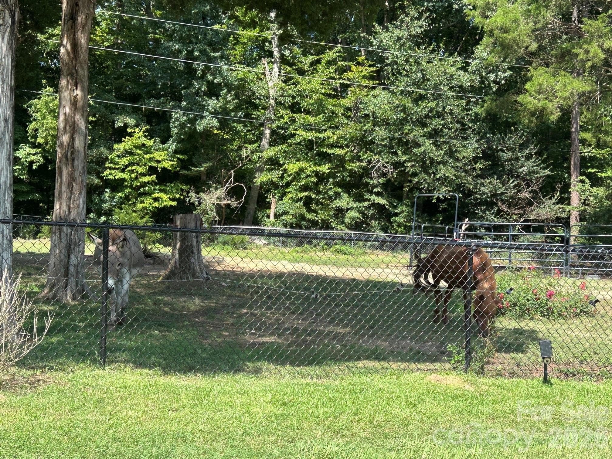 PASTURE AREA FENCED IN - 2323 Cherry Road, Catawba