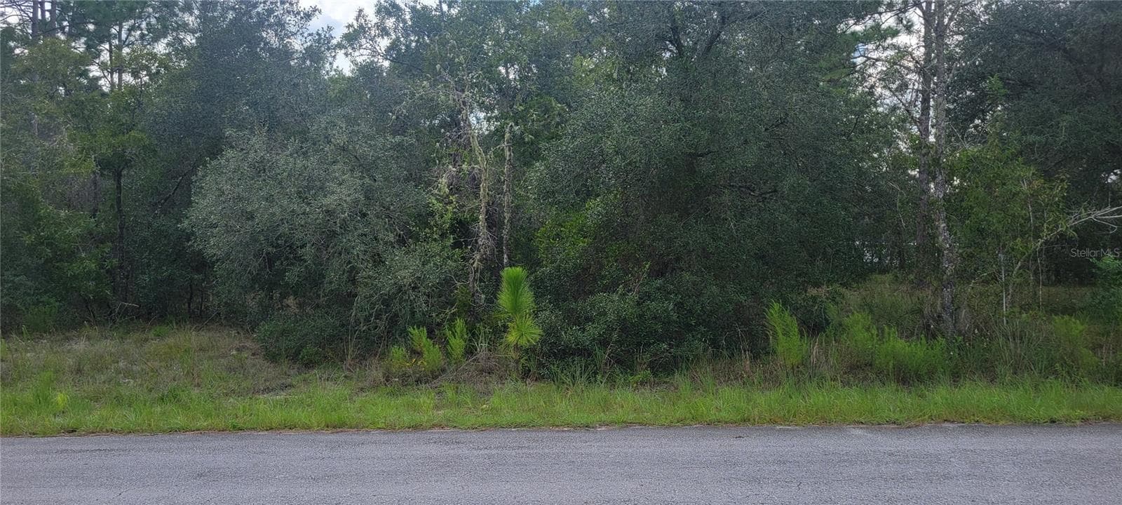 Land at 0 SW BIG BEAR RDG, DUNNELLON, photo 2 of 20