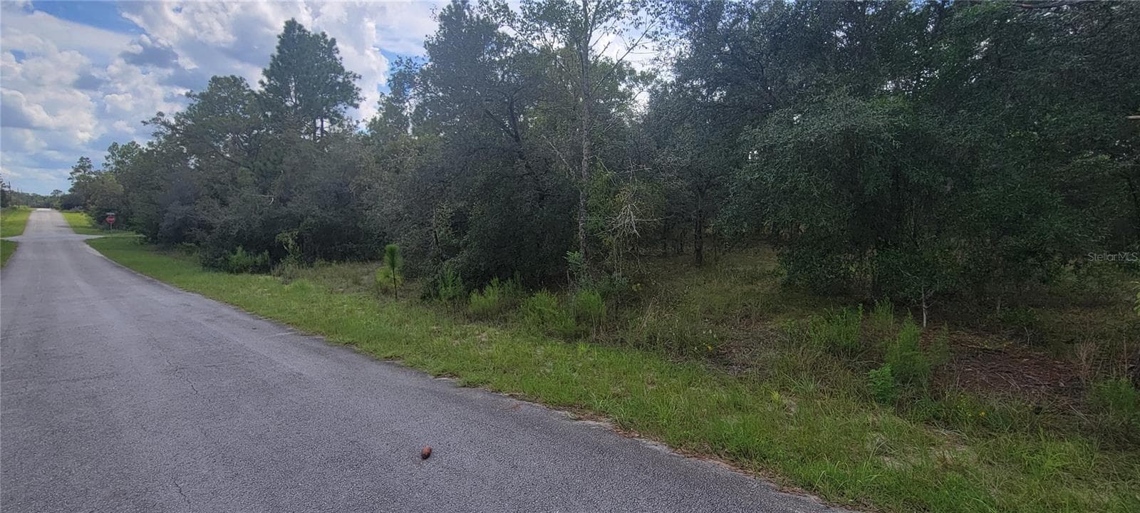 Land at 0 SW BIG BEAR RDG, DUNNELLON, photo 4 of 20