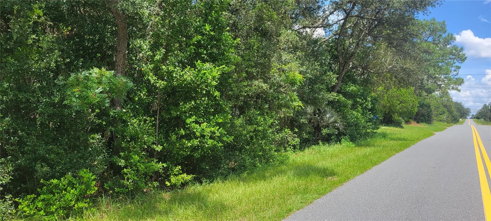 Land at 0 SW BEACH BLVD, DUNNELLON, photo 3 of 20