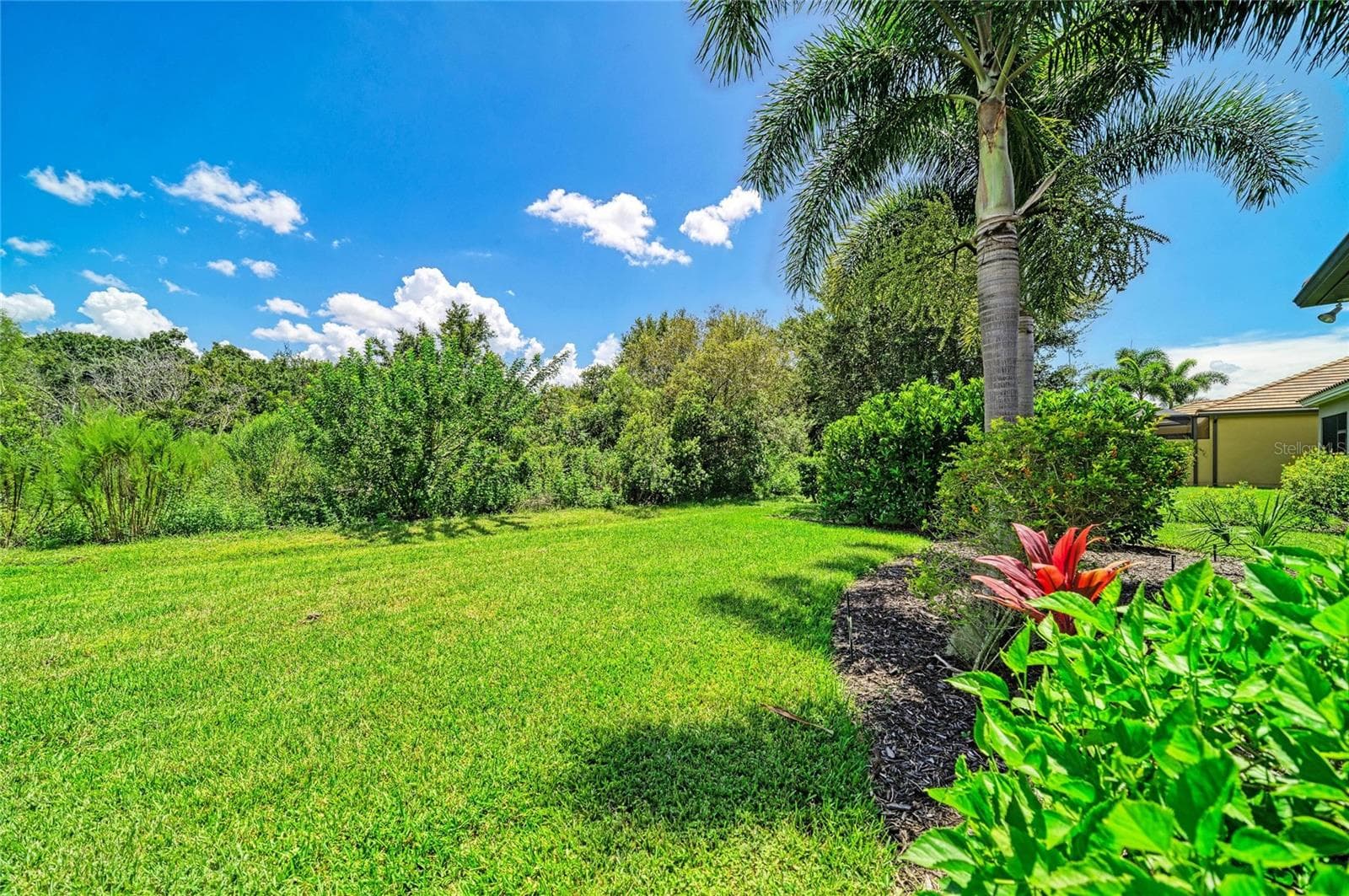 Backyard - 4645 ROYAL DORNOCH CIR, BRADENTON