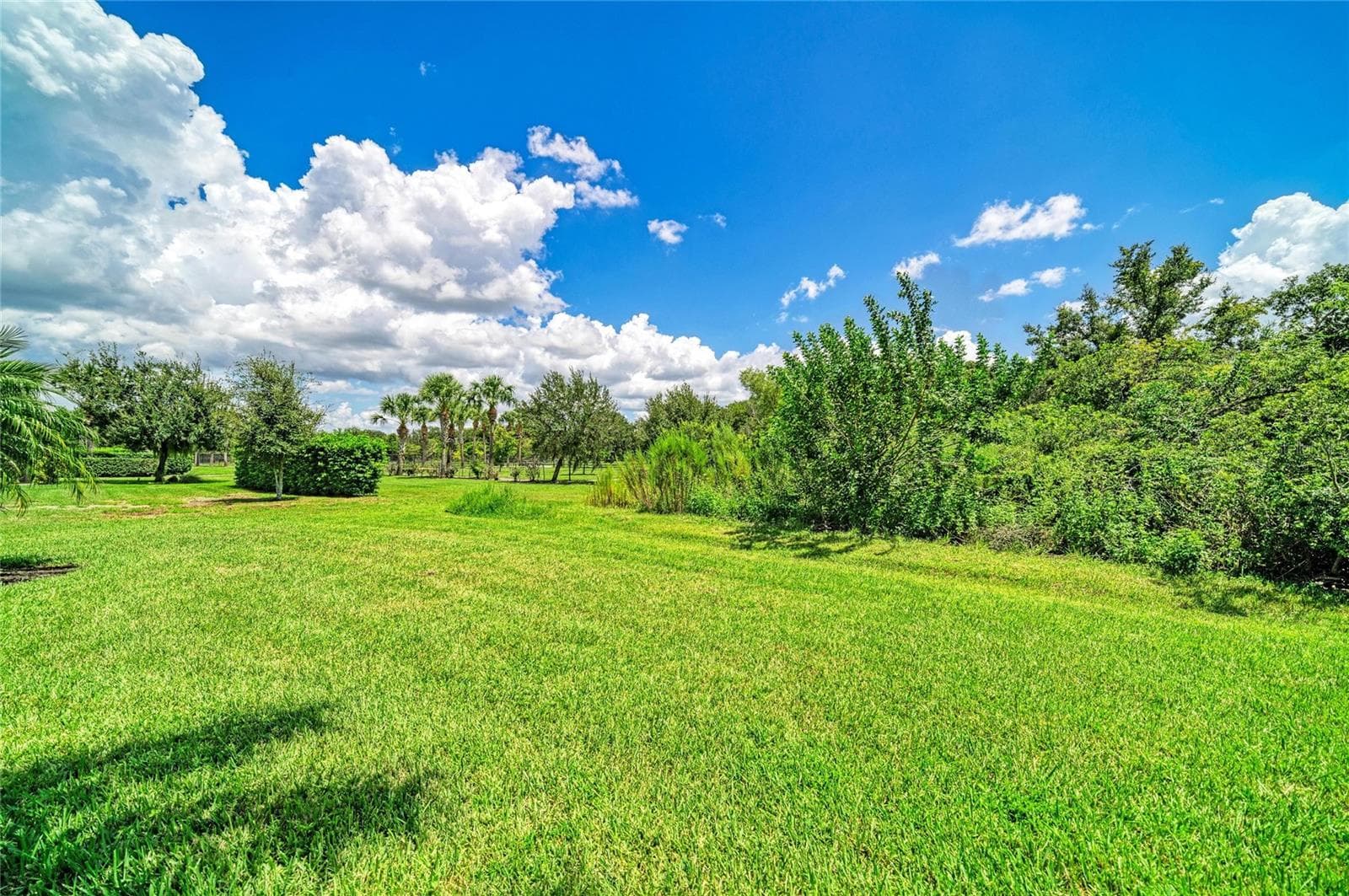 Backyard - 4645 ROYAL DORNOCH CIR, BRADENTON