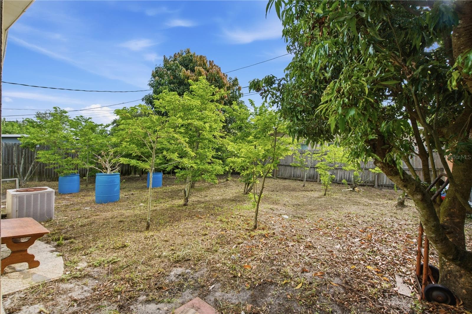 Fruit garden - 1615 PALM WAY, LARGO