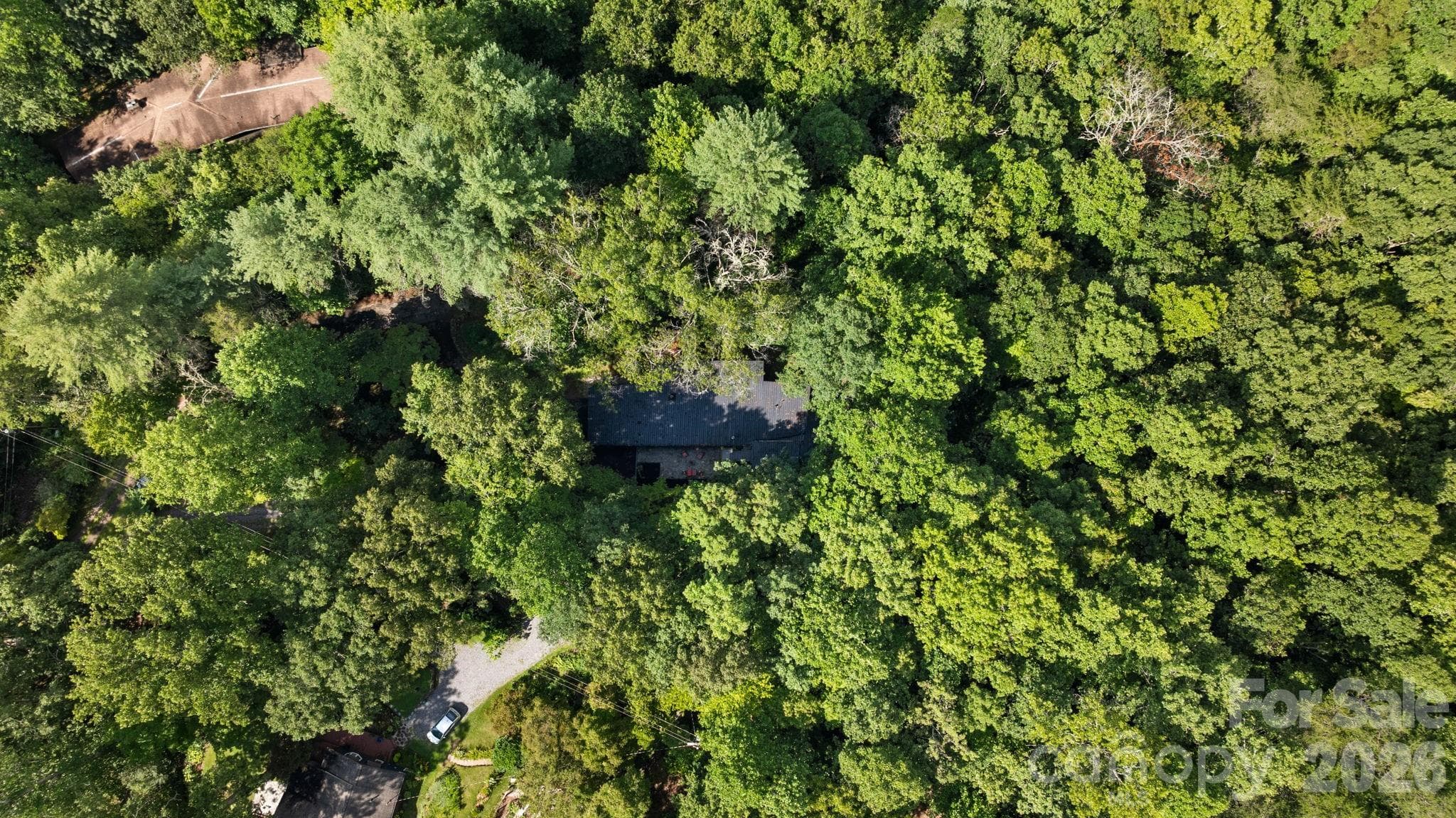 Aerial View, Home Hidden in the Trees - 103 Riverwood Drive, Sylva