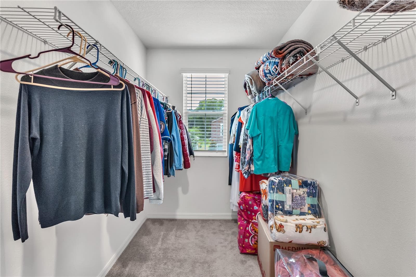 Walking Closet - 22547 STORYBOOK CABIN WAY, LAND O LAKES