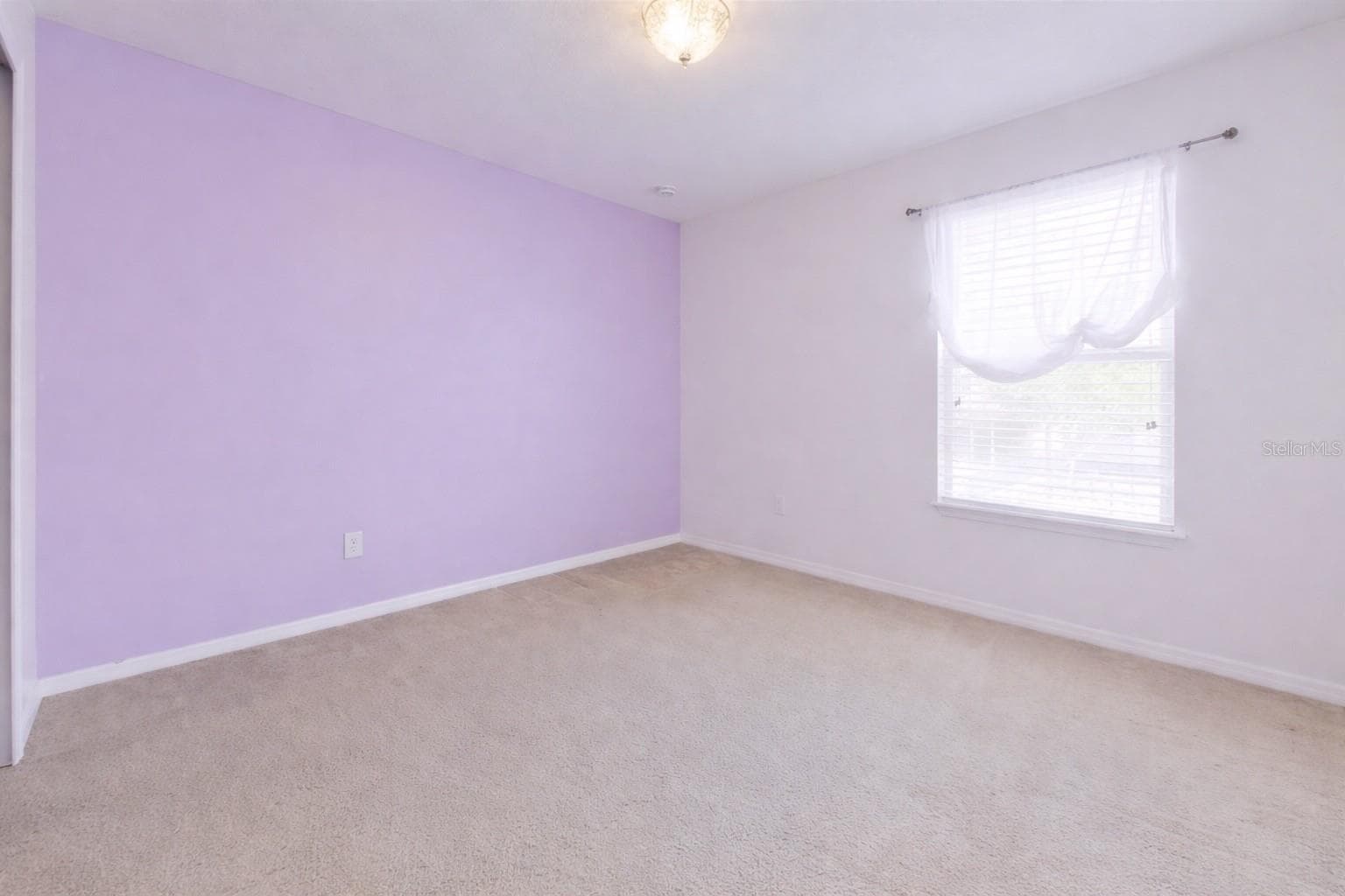 Room 2 - 2863 MAPLE BROOK LOOP, LUTZ
