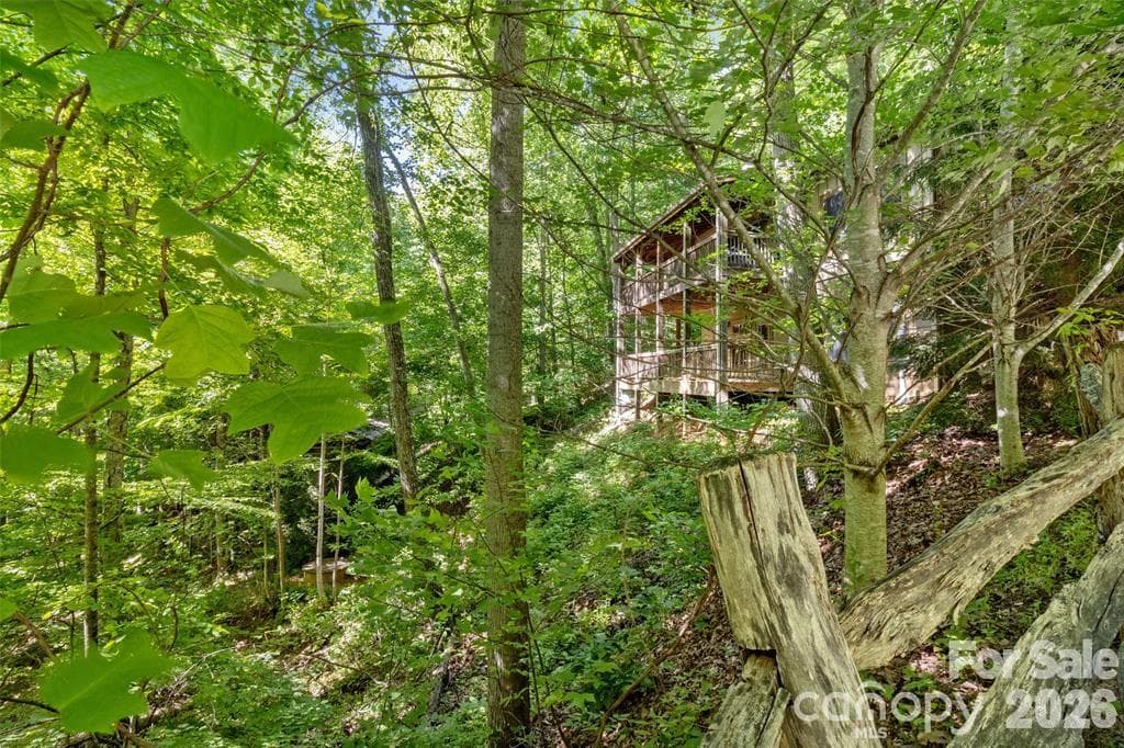 TREEHOUSE PRIVACY! - Burnsville