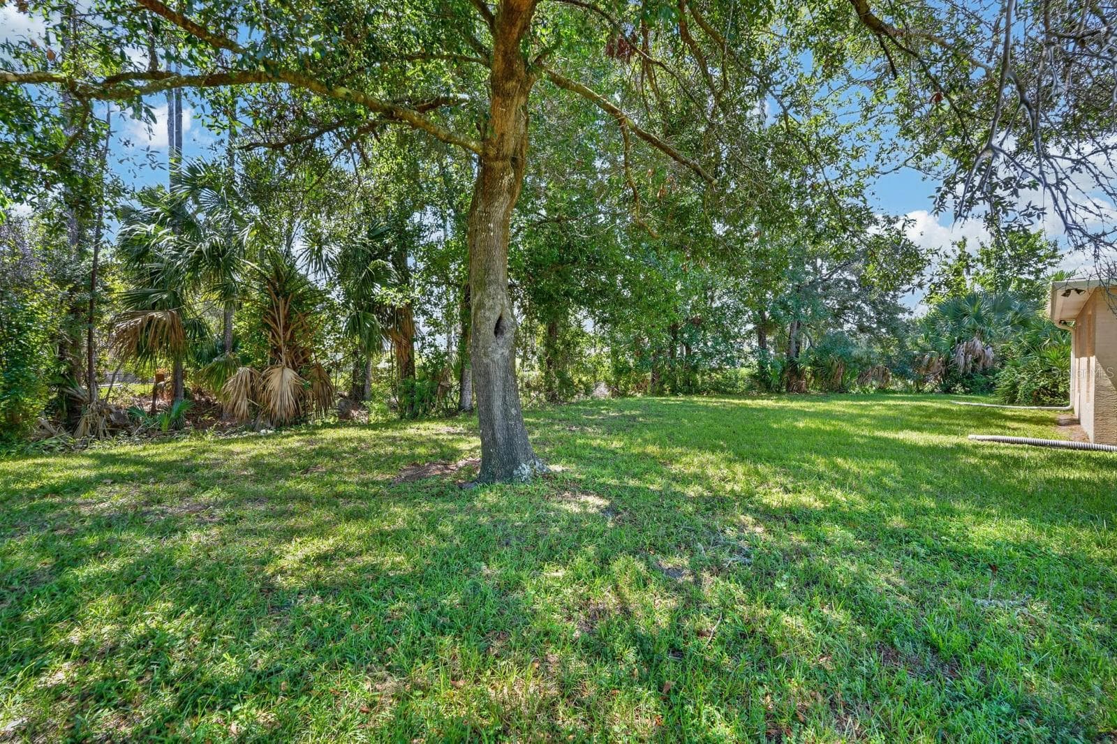 large lot - 99 PICKERING DR, PALM COAST