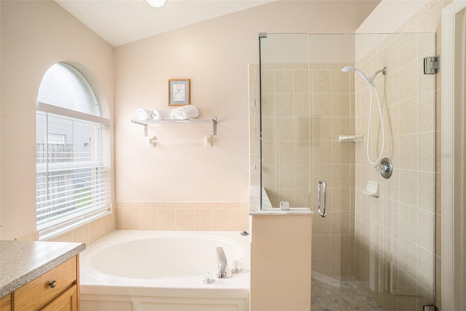 Single Family Residence at 2132 RENSSELAER DR, WESLEY CHAPEL, photo 21 of 45