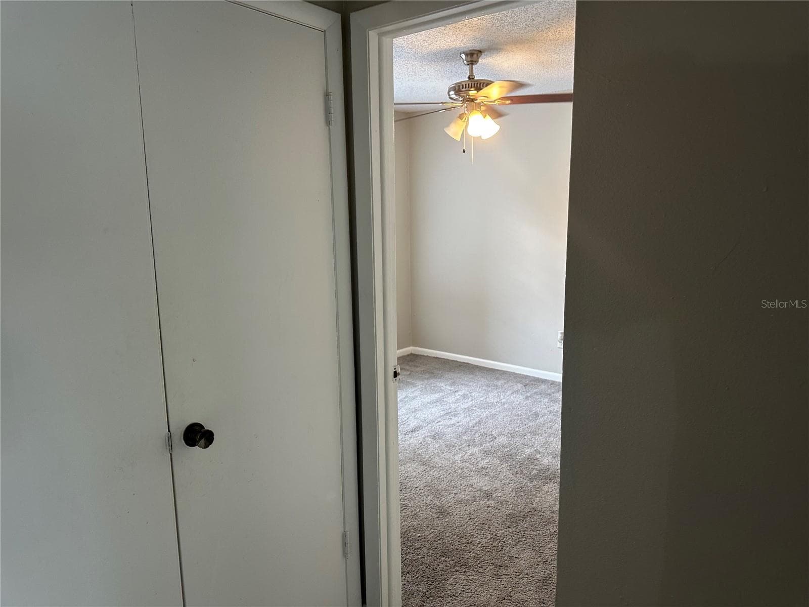 Townhouse at 14752 MORNING DR, LUTZ, photo 26 of 31