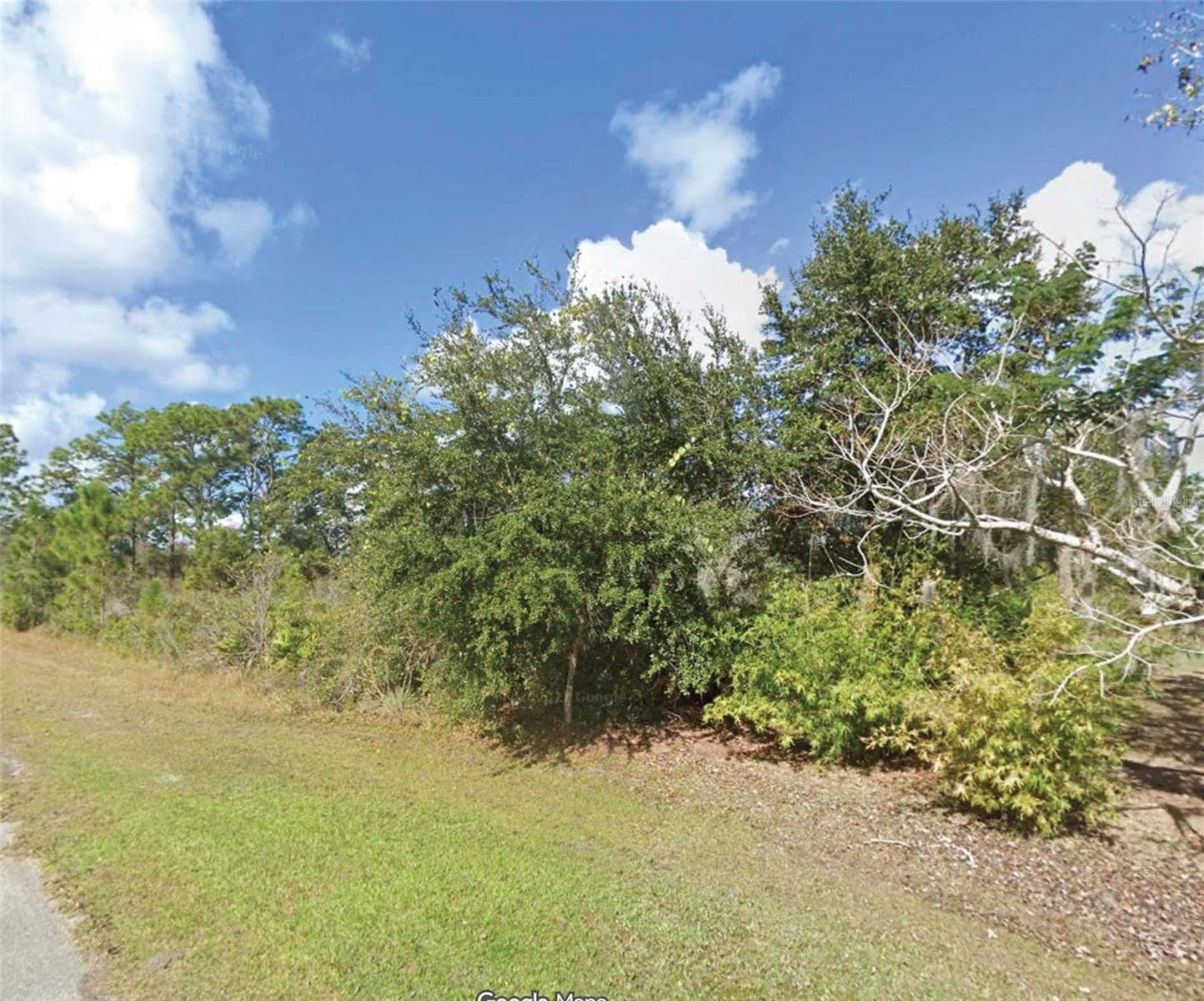 10 CAMELLIA DR