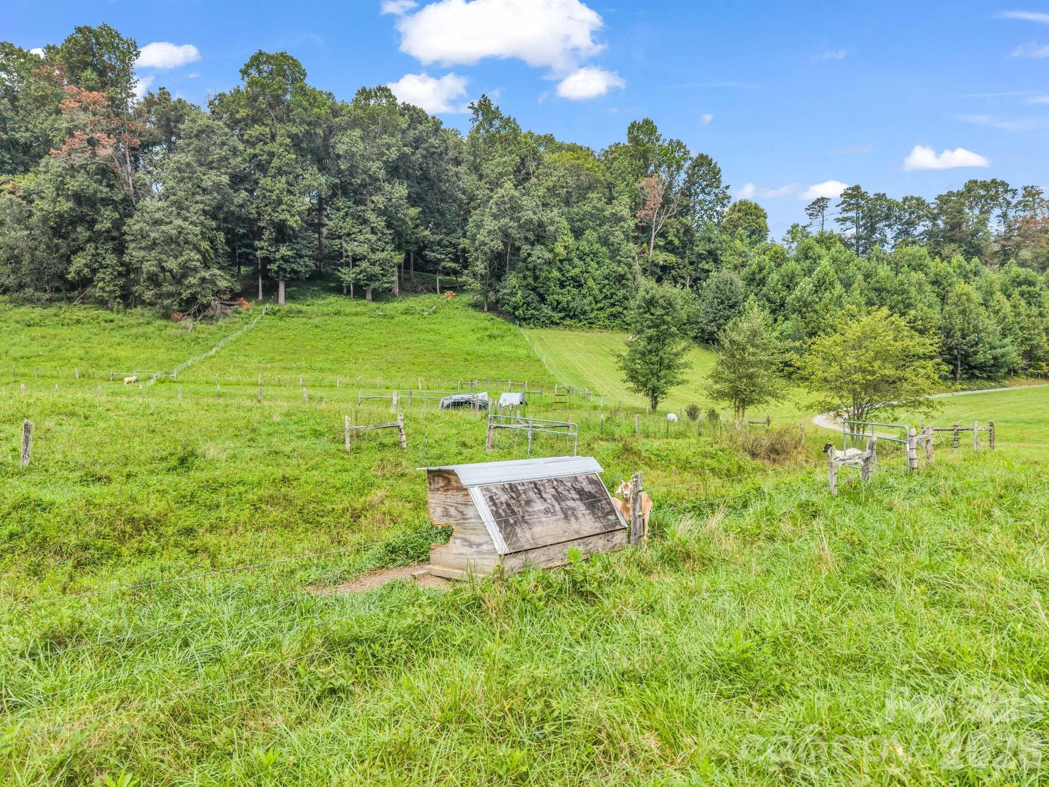 Pasture with some livestock shelters - 136 Limousine Lane, Pisgah Forest