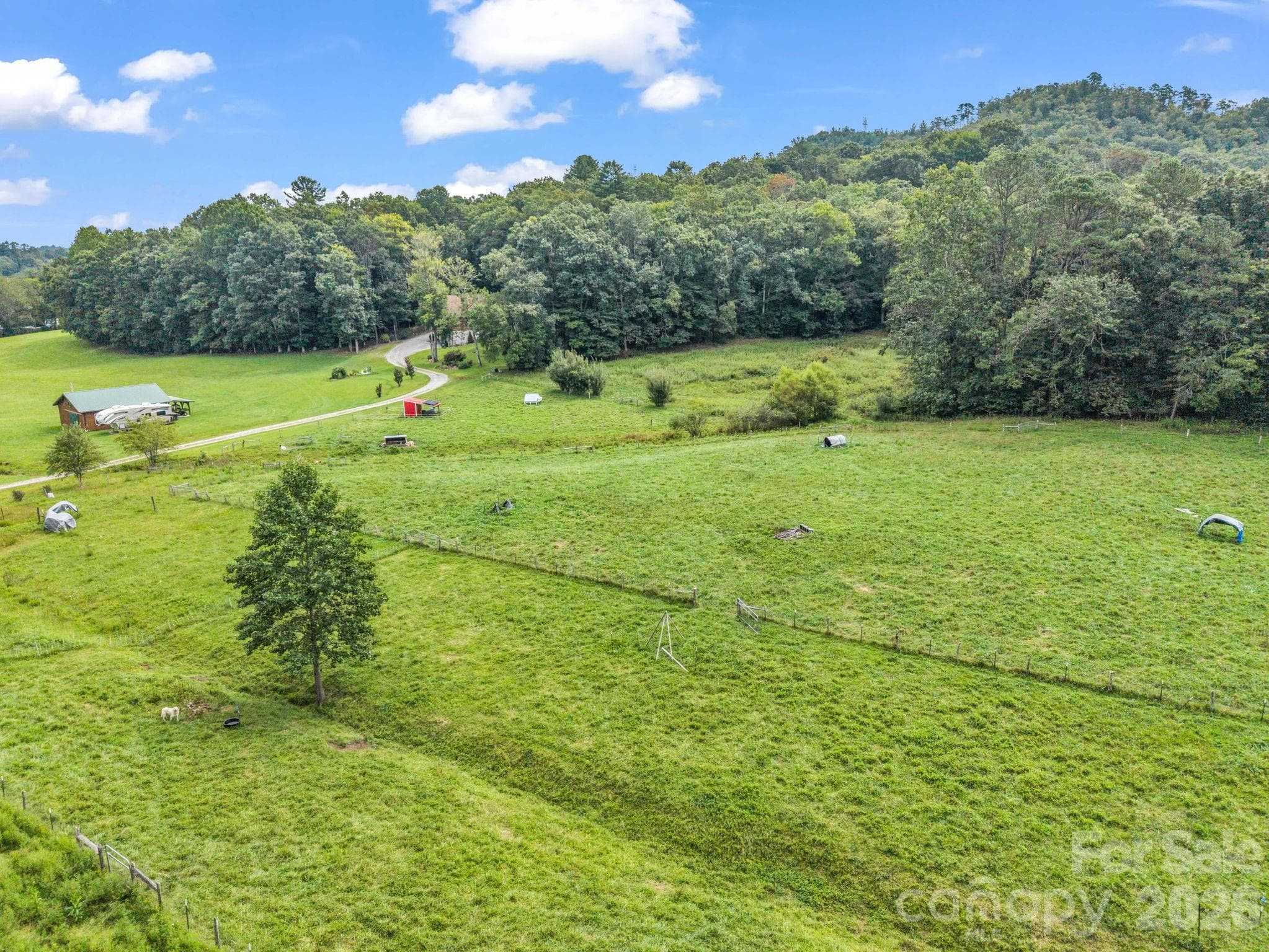 Pasture for livestock - 136 Limousine Lane, Pisgah Forest
