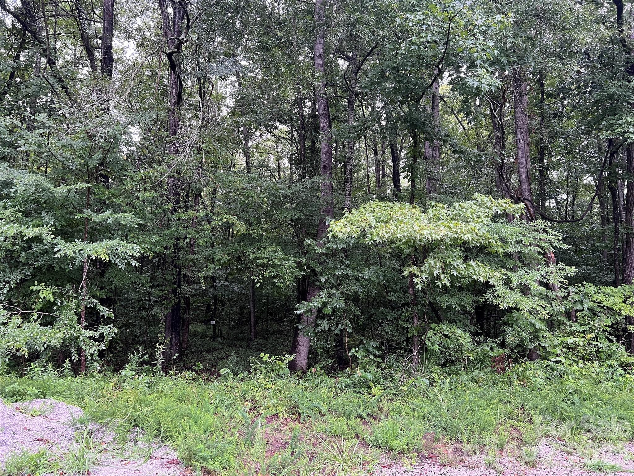 6 Wilderness Lane
