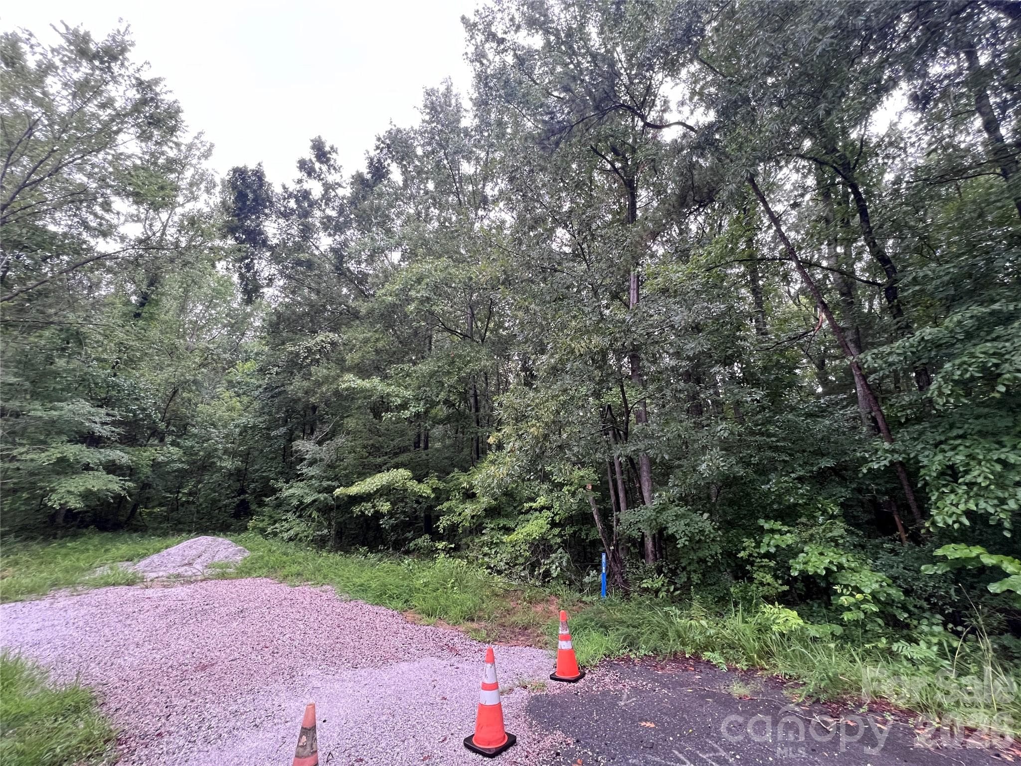 5 Wilderness Lane