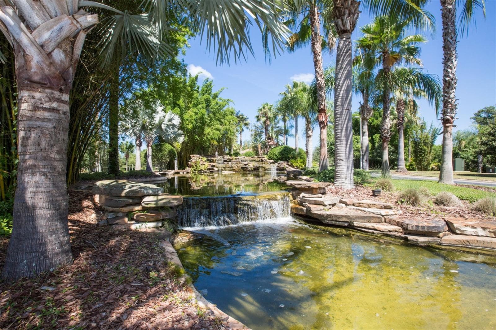 Single Family Residence at 229 SILVER FALLS DR, APOLLO BEACH, photo 50 of 77