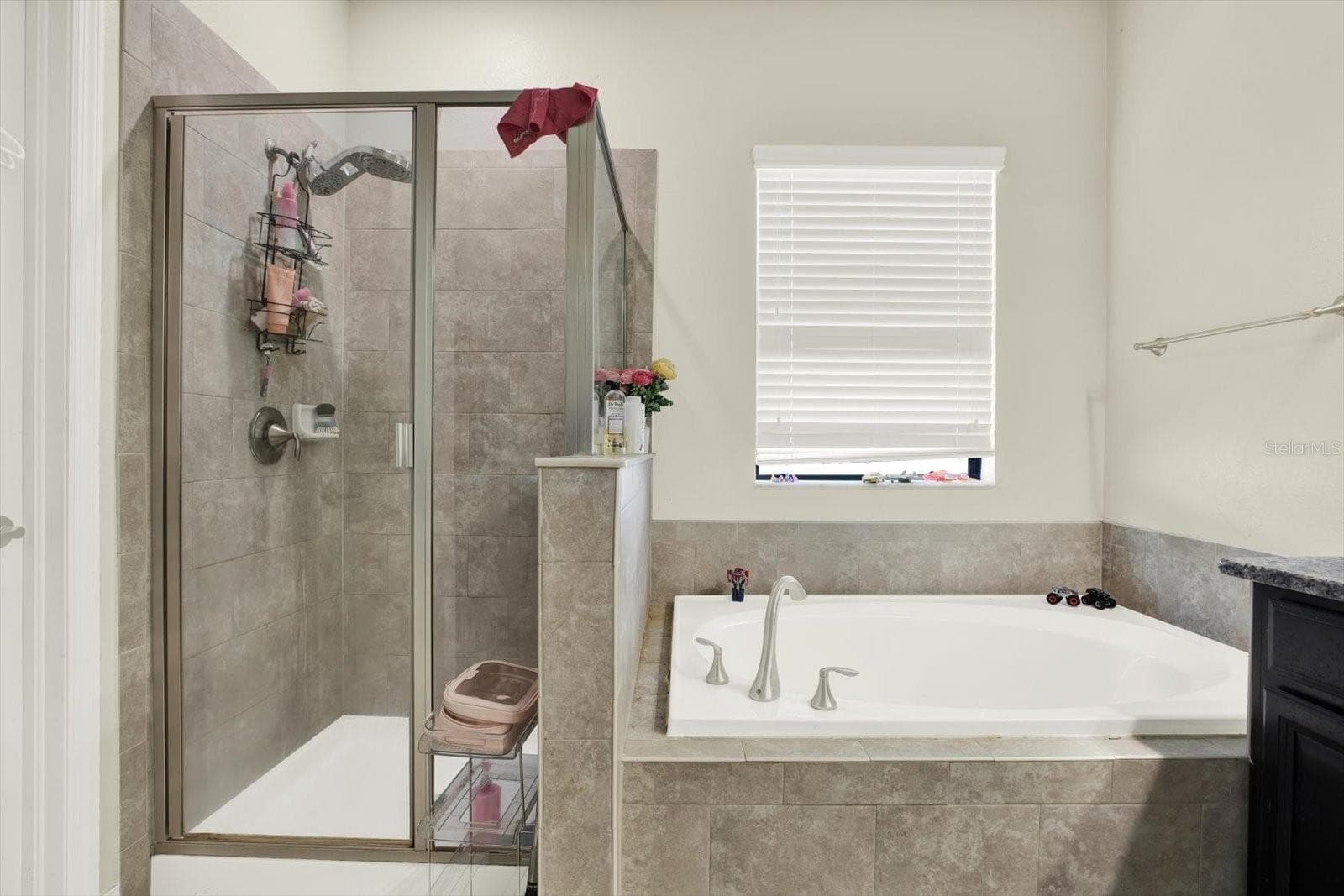 Single Family Residence at 10207 COUNT FLEET DR, RUSKIN, photo 13 of 35