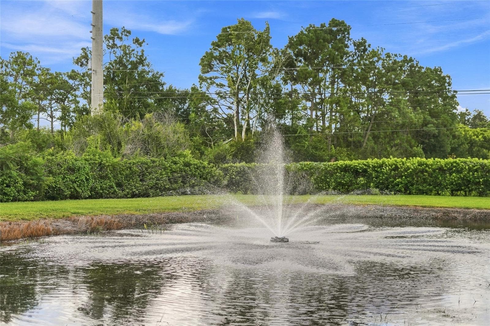 Pond - 4441 DEER RUN RD, ST CLOUD