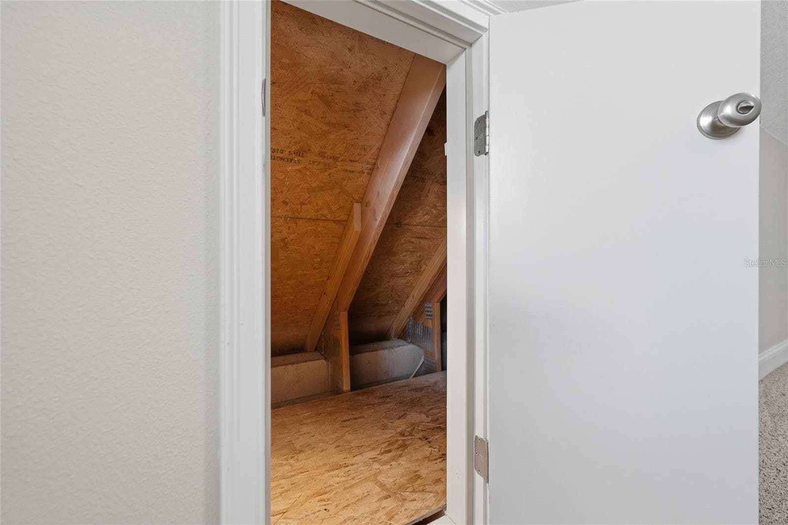 Storage area in Bonus Room 1 0f 2 - 4441 DEER RUN RD, ST CLOUD