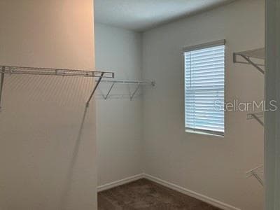 Single Family Residence at 35694 KINSEY PT, ZEPHYRHILLS, photo 16 of 23