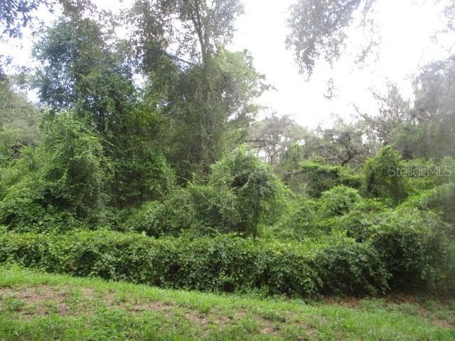 Single Family Residence at 35236 REYNOLDS ST, DADE CITY, photo 10 of 21