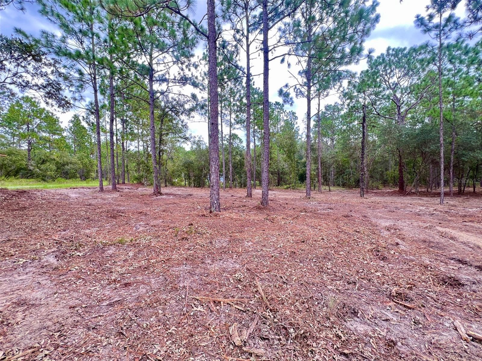 Land at 16 SW ANCHOR BLVD, DUNNELLON, photo 4 of 15