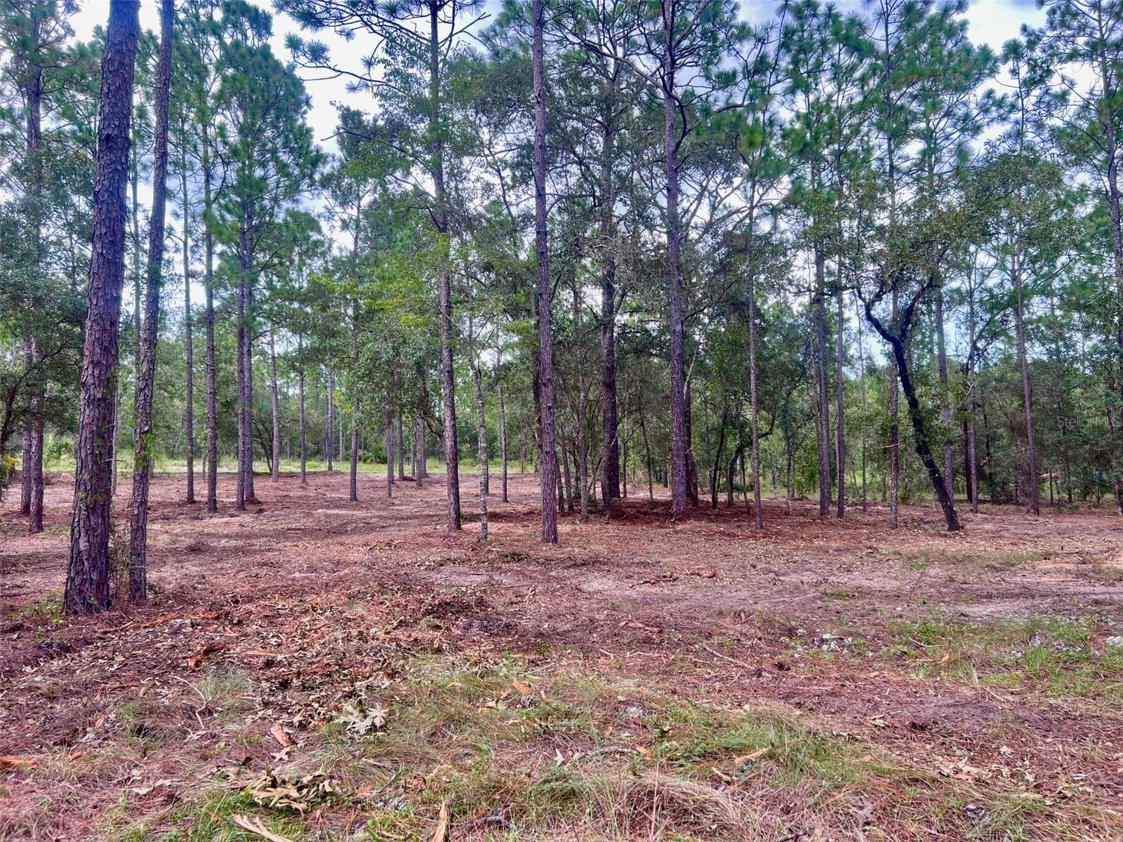 Land at 16 SW ANCHOR BLVD, DUNNELLON, photo 8 of 15