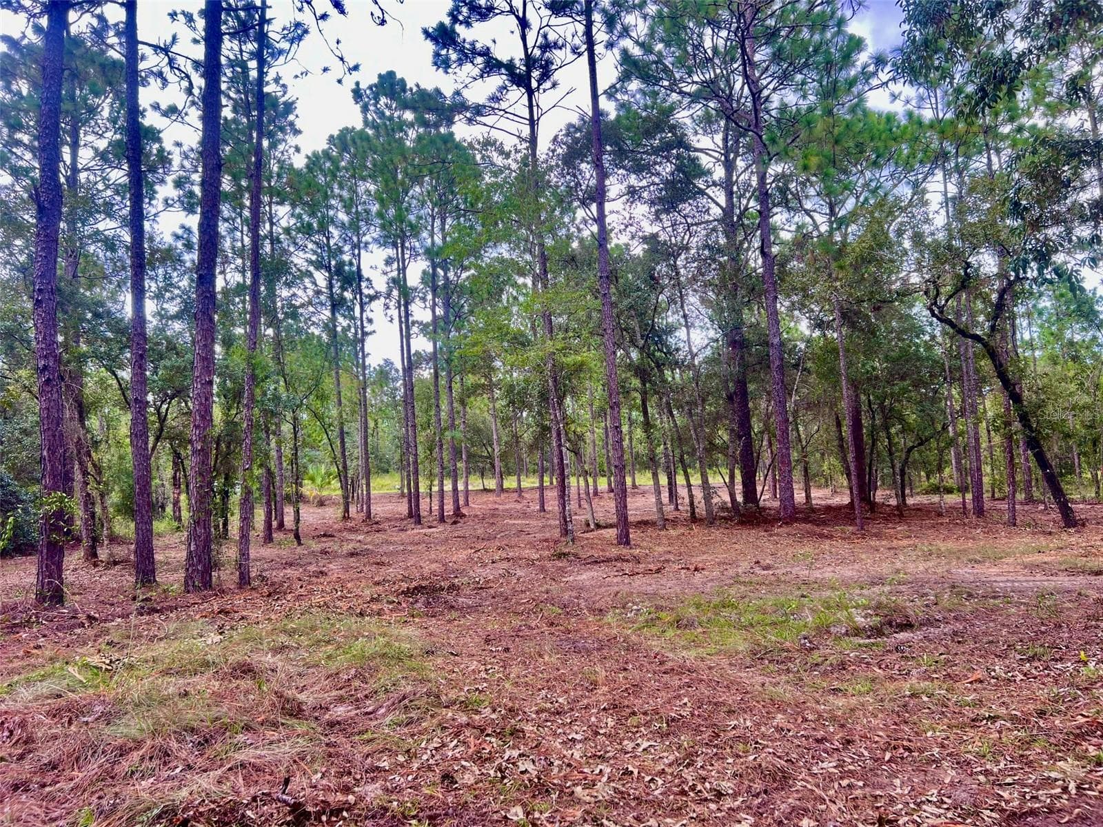 Land at 16 SW ANCHOR BLVD, DUNNELLON, photo 10 of 15