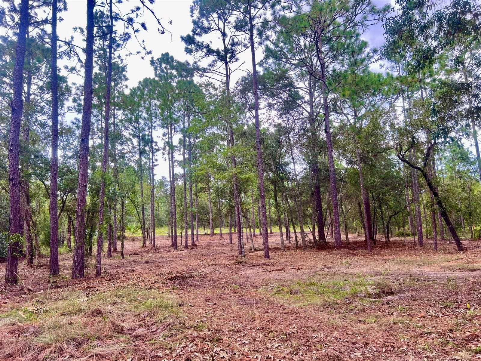 Land at 16 SW ANCHOR BLVD, DUNNELLON, photo 11 of 15