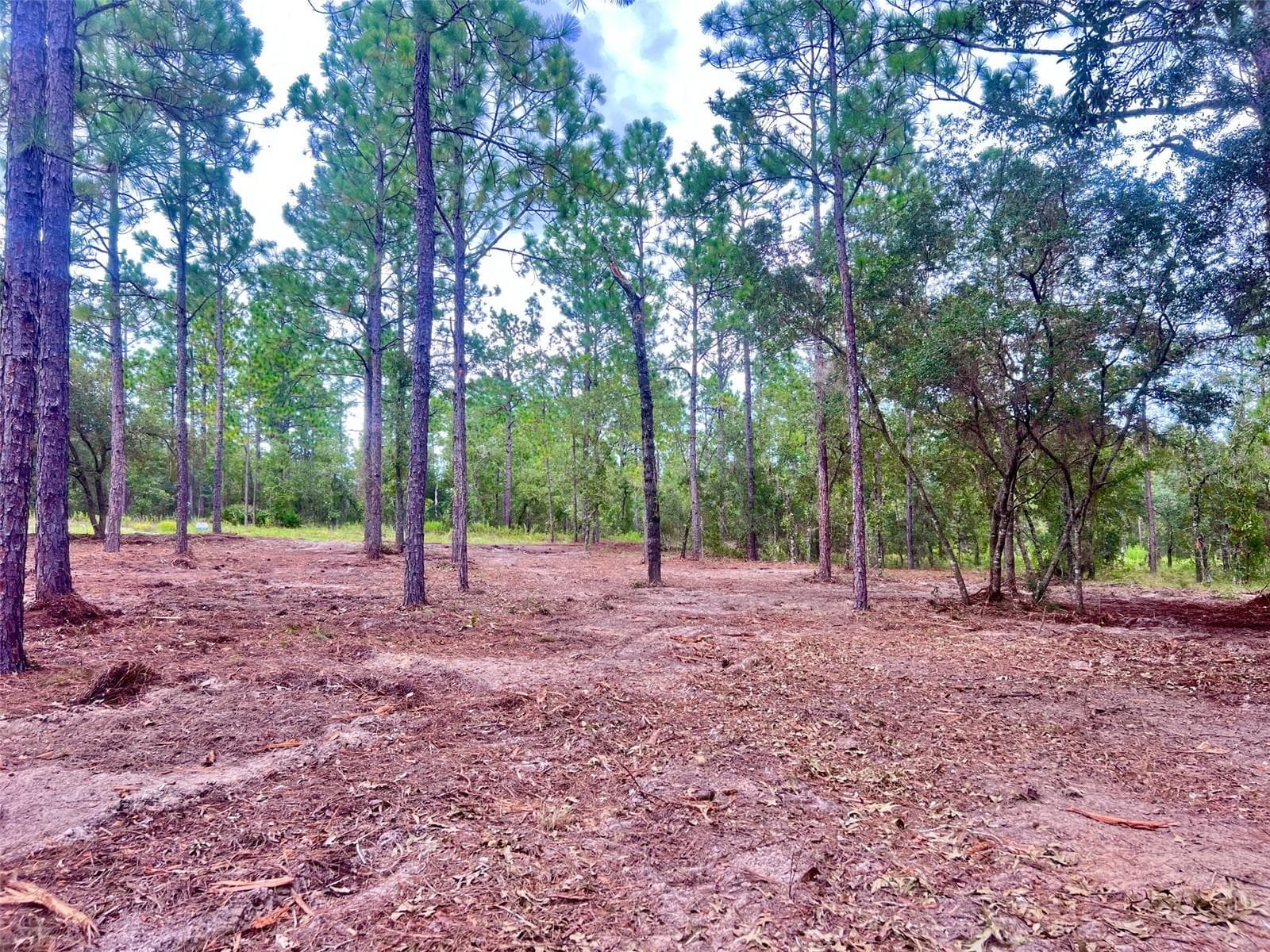 Land at 16 SW ANCHOR BLVD, DUNNELLON, photo 13 of 15