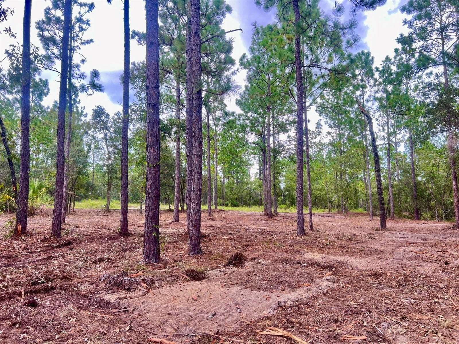 Land at 16 SW ANCHOR BLVD, DUNNELLON, photo 14 of 15