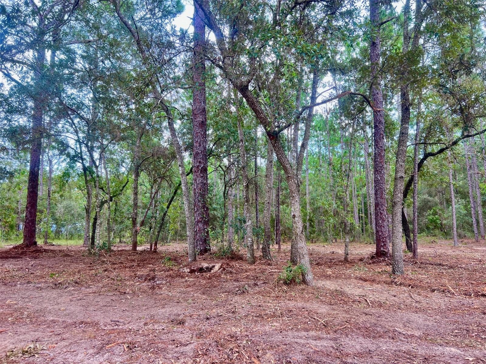 Land at 16 SW ANCHOR BLVD, DUNNELLON, photo 15 of 15