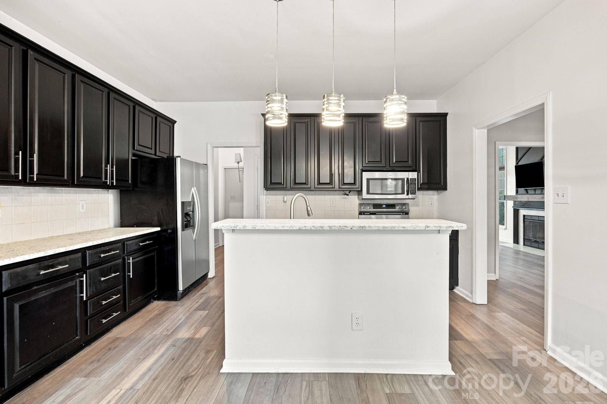 Single Family Residence at 8927 Raven Park Drive, Charlotte, photo 10 of 45