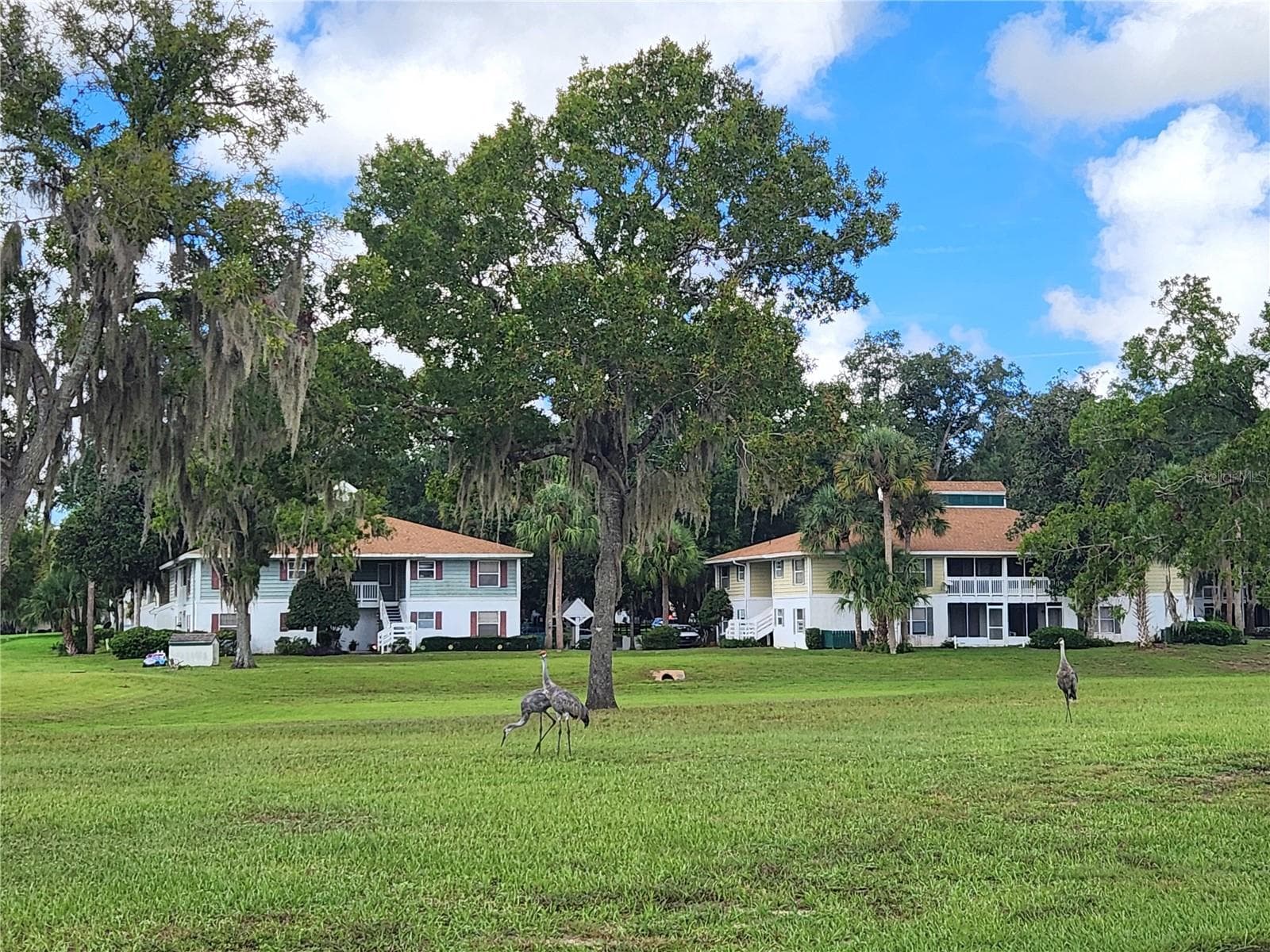 Space Between Pool and Condo - 8215 FAIRWAYS CIR #G202, OCALA