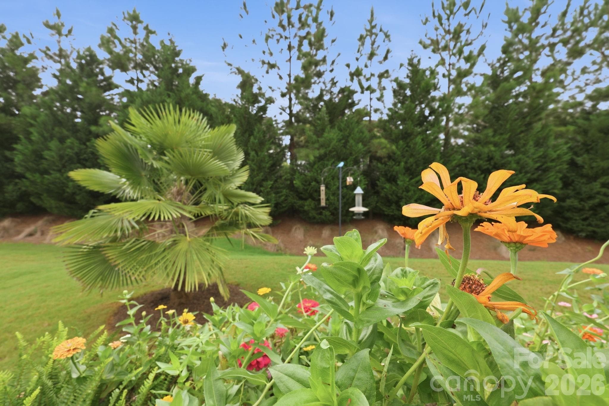 Single Family Residence at 7106 Overjoyed Crossing, Charlotte, photo 34 of 48