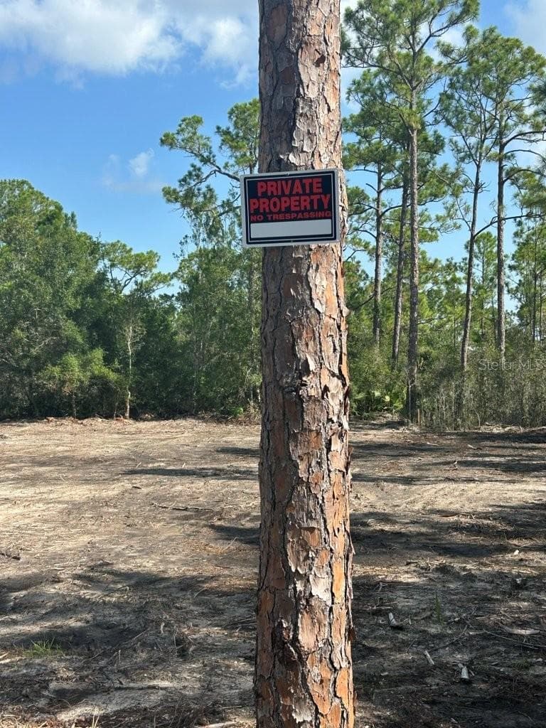 Land at 27292 CHULA VISTA DR, PUNTA GORDA, photo 4 of 7