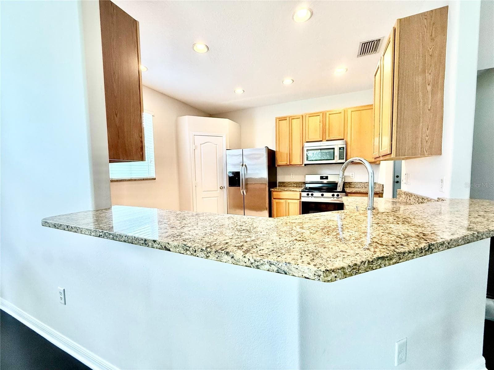Kitchen view 2 - 4004 LANGDRUM DR, WESLEY CHAPEL