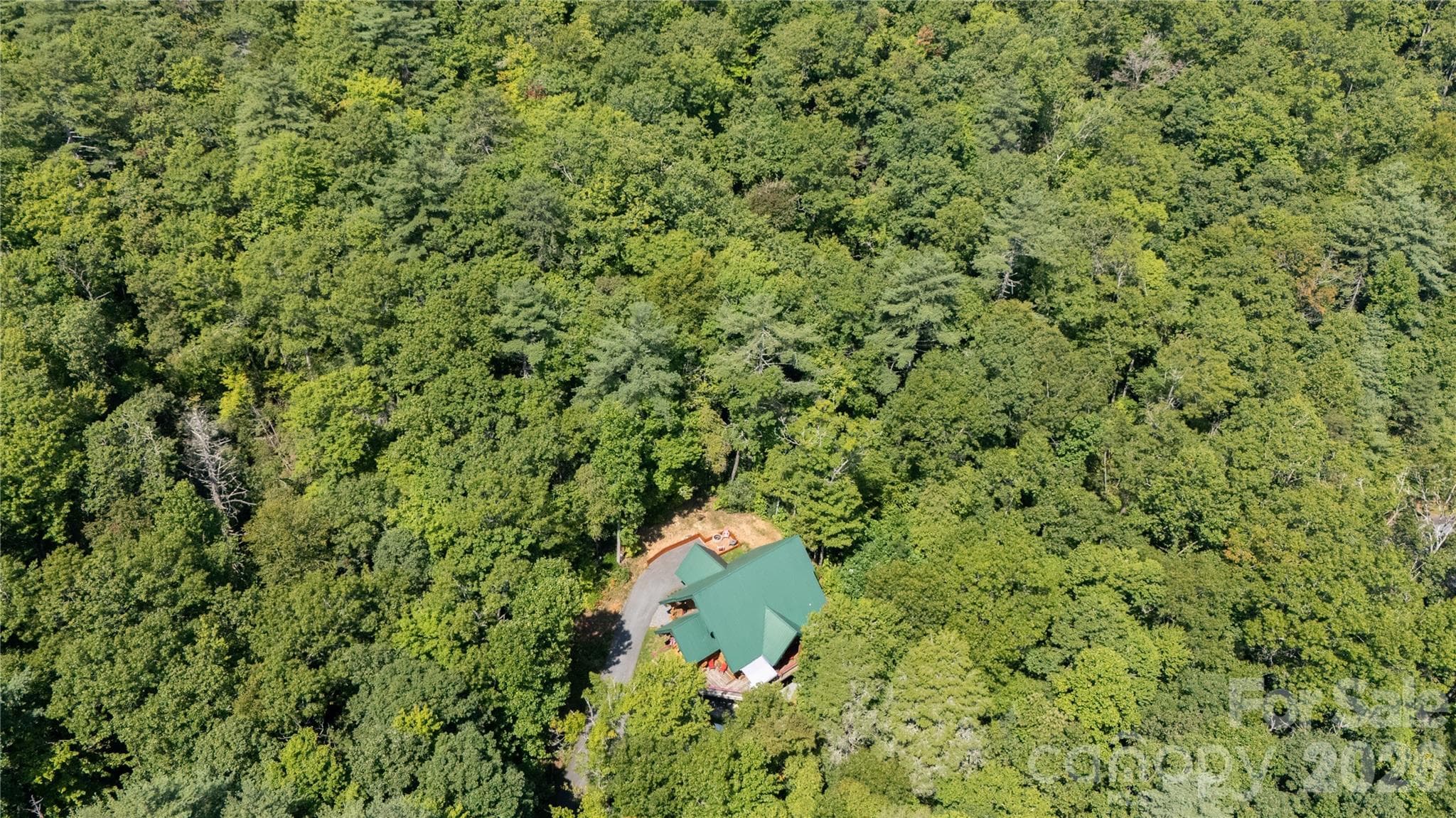 aerial view - 142 W Southwood Drive, Brevard