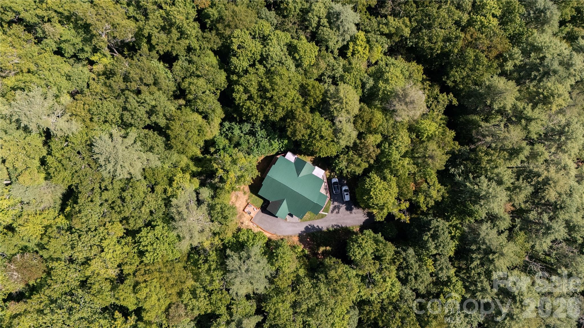 Single Family Residence at 142 W Southwood Drive, Brevard, photo 42 of 43