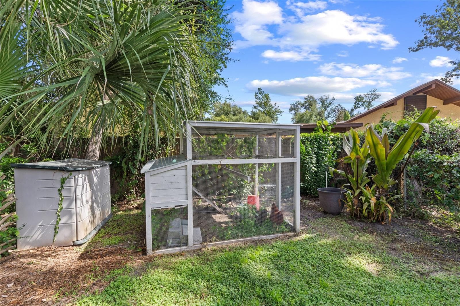 The Chicken Coop will stay with the home. :) - 4603 DOGWOOD HILLS CT, BRANDON