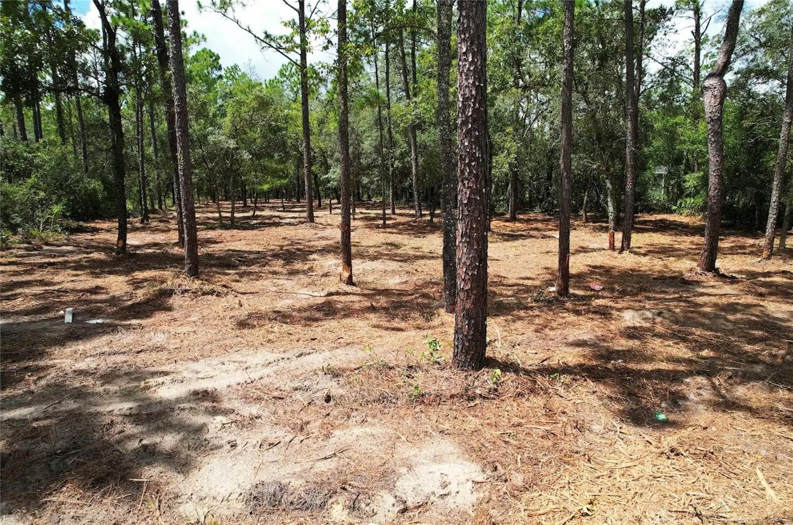 Land at SW 183RD TER, DUNNELLON, photo 3 of 4