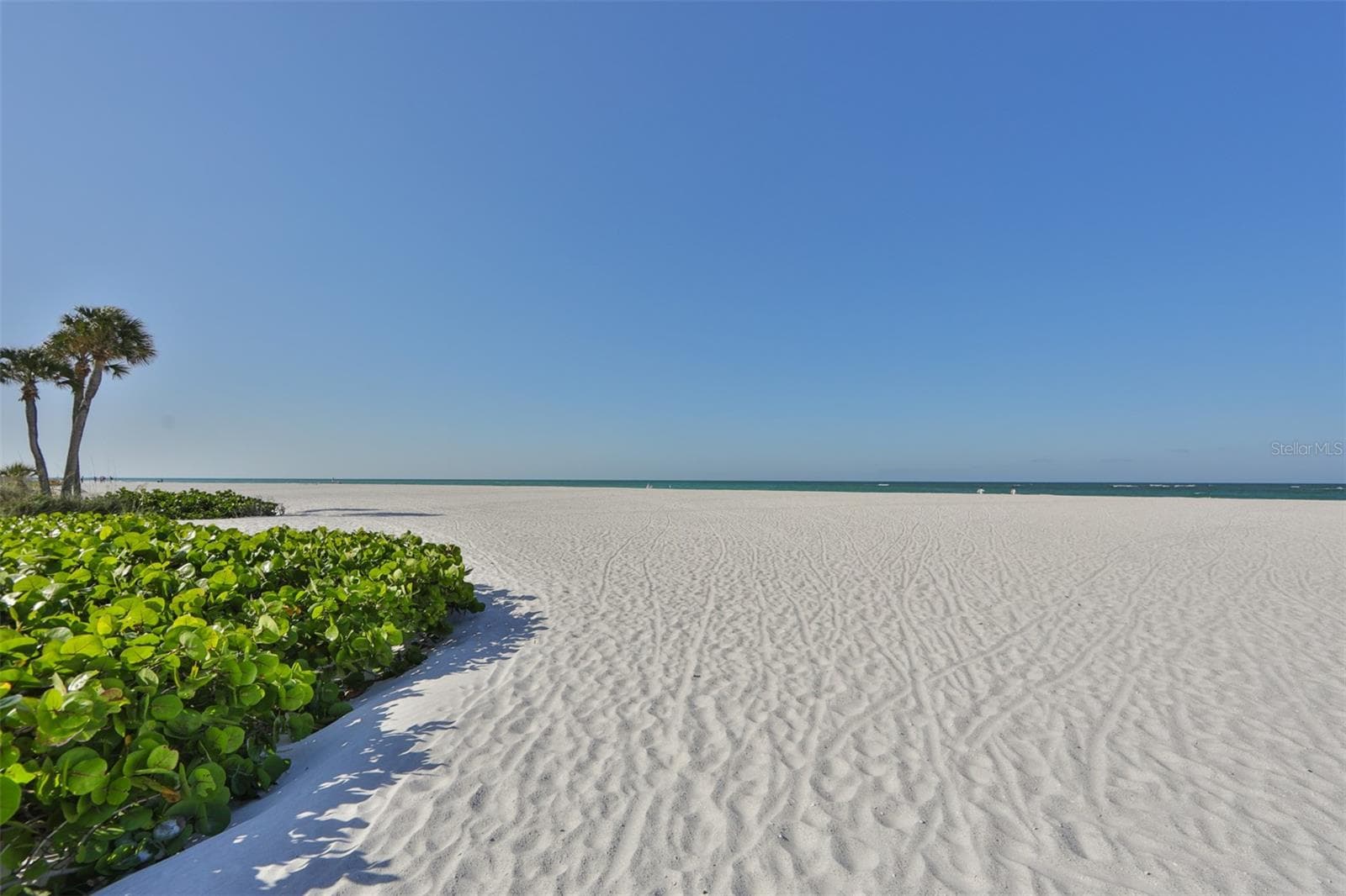 Clearwater Beach - 1359 HOWARD ST, CLEARWATER
