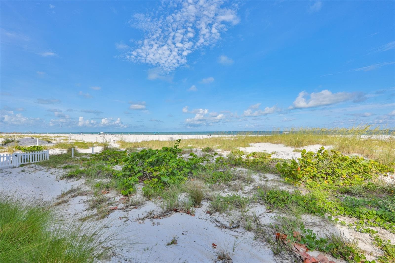 Clearwater Beach - 1359 HOWARD ST, CLEARWATER